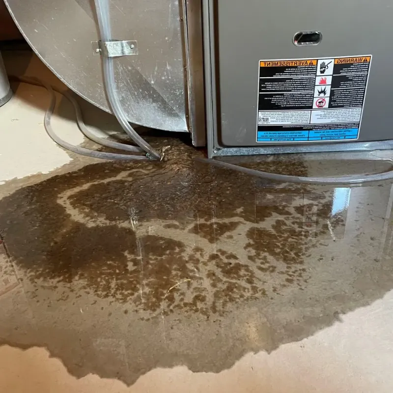 Pipe Burst and Leak Restoration in Queensbury, NY